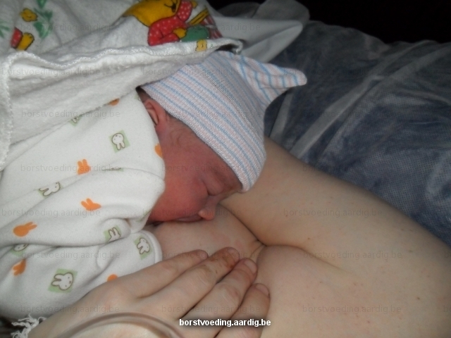 Borstvoeding: pasgeboren baby aan de borst Borstvoeding: pasgeboren baby aan de borst